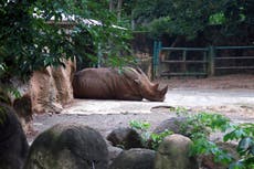 Puerto Rico cierra zoológico tras años de denuncias