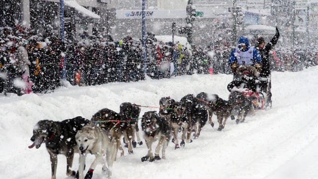 IDITAROD-CADA VEZ MENOS TRINEOS