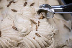 Autoridades mexicanas alertan sobre marca de helados contaminada con bacteria
