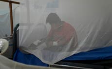 Bolivia refuerza tareas de fumigación contra el dengue
