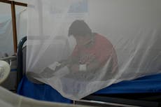 Bolivia refuerza tareas de fumigación contra el dengue