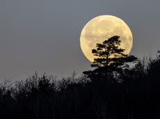 Luna del Gusano: la luna llena de marzo será la más grande y brillante de 2023 hasta ahora