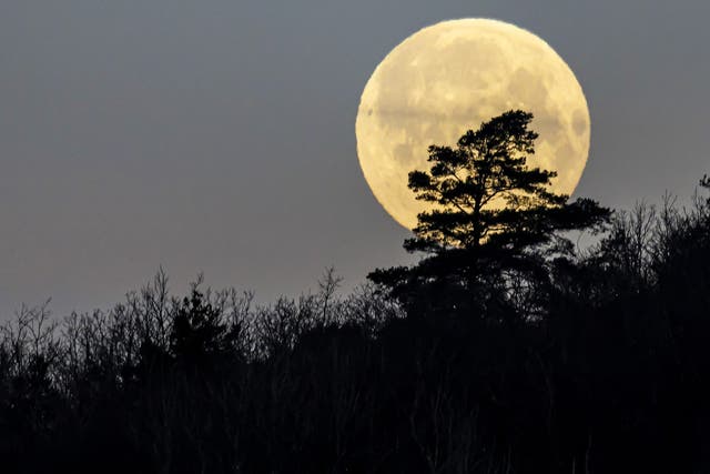<p>La Luna Llena de Gusano en marzo alcanza su punto máximo el martes 7 de marzo de 2023</p>
