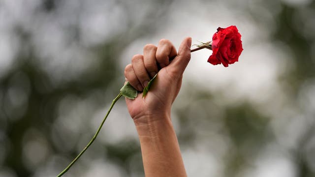 MUN-GEN DÍA INTERNACIONAL DE LA MUJER
