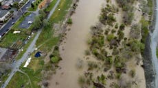 Preocupan inundaciones en campos de fresas de California