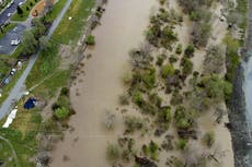 Preocupan inundaciones en campos de fresas de California