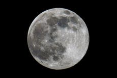 Científicos encuentran gran “depósito” de agua en la Luna
