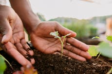 Por qué la mayoría de los estadounidenses quieren ser más sostenibles