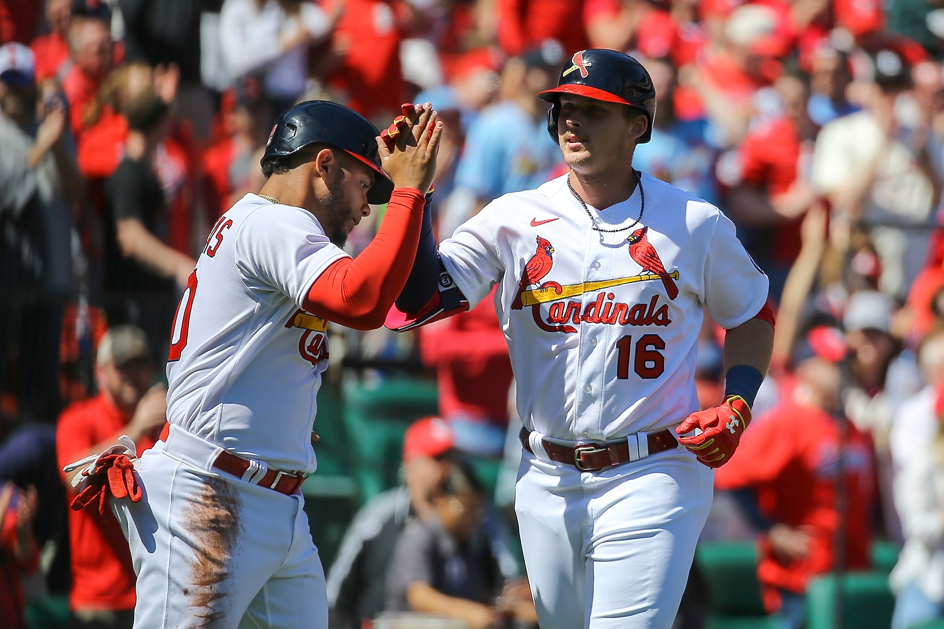 AZULEJOS-CARDENALES