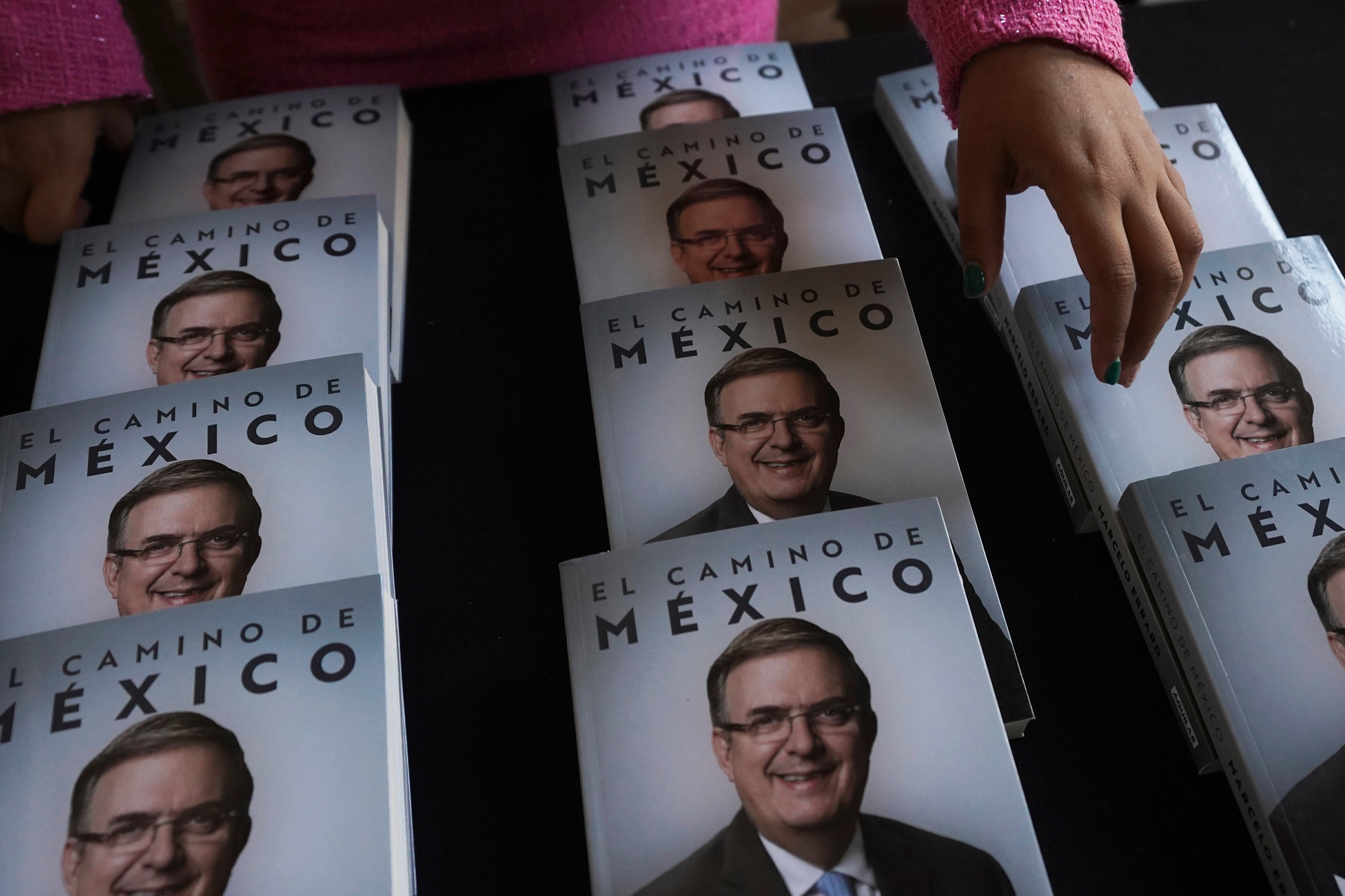 MÉXICO-ELECCIONES CANCILLER