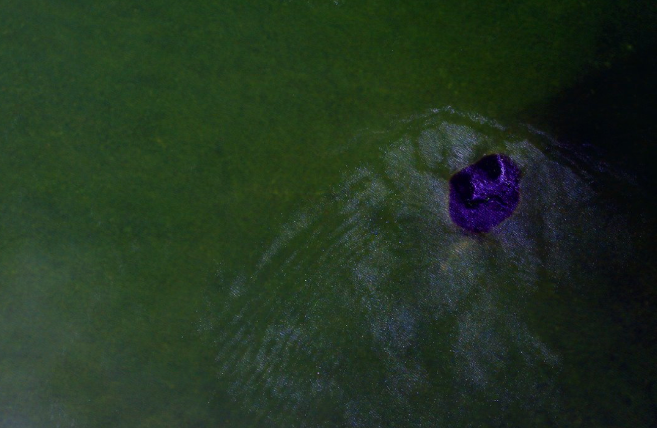 Descubren el segundo agujero azul más grande del mundo en costas mexicanas