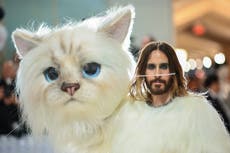 Cucarachas, disfraces de gatos y un homenaje a un polémico diseñador: es hora de poner fin a la Met Gala