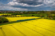 Alemania busca aliviar obstáculos para energía solar