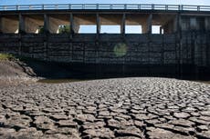 Crisis hídrica: sale agua salada de los grifos en Uruguay