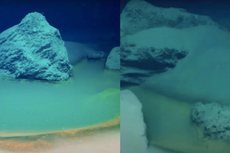 Descubren “piscina de la muerte” en el fondo del mar que mata todo lo que toca