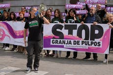 Defensores de los animales protestan por una enorme granja de pulpos en España