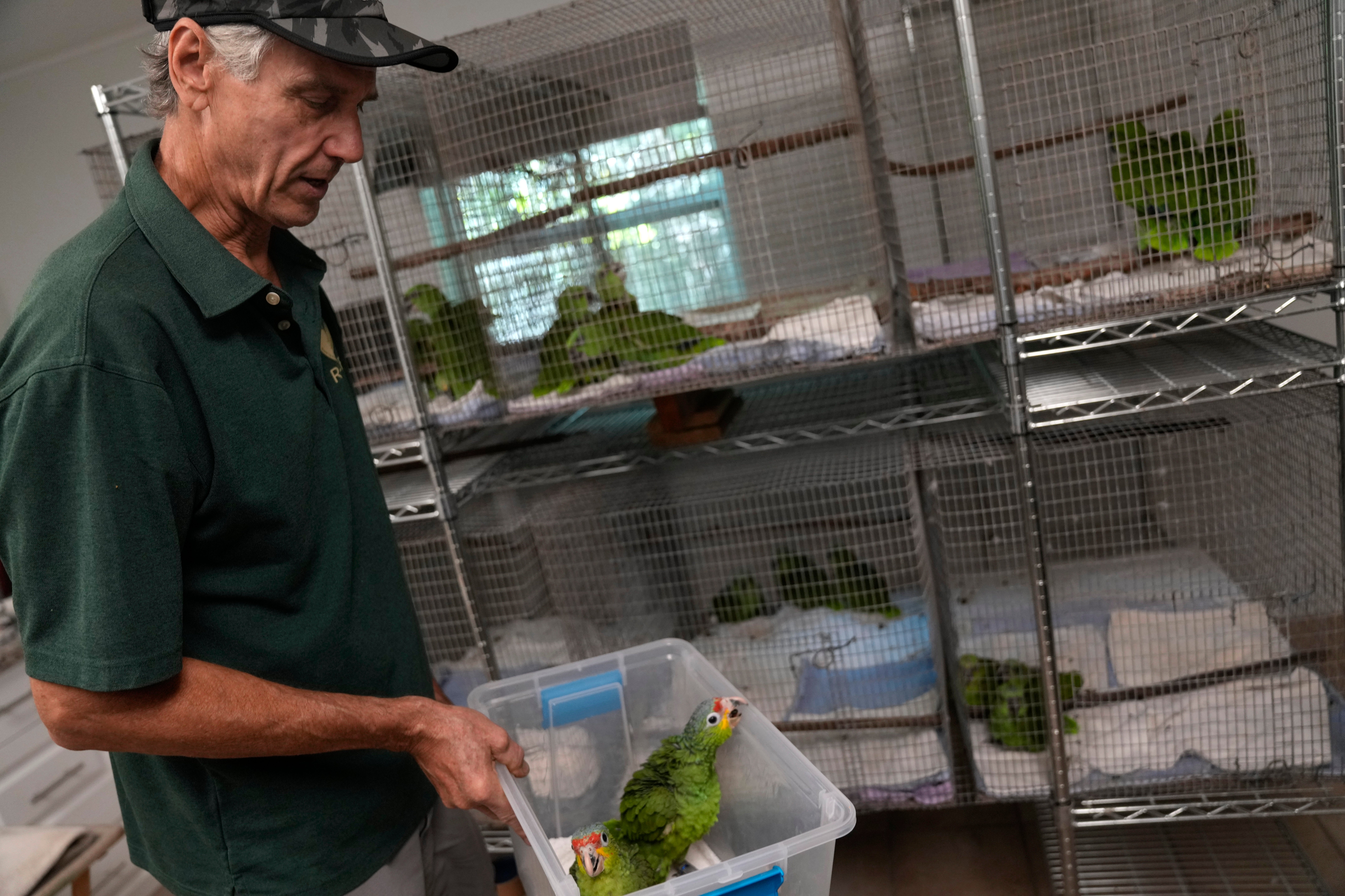 EEUU-LOROS-CONTRABANDO