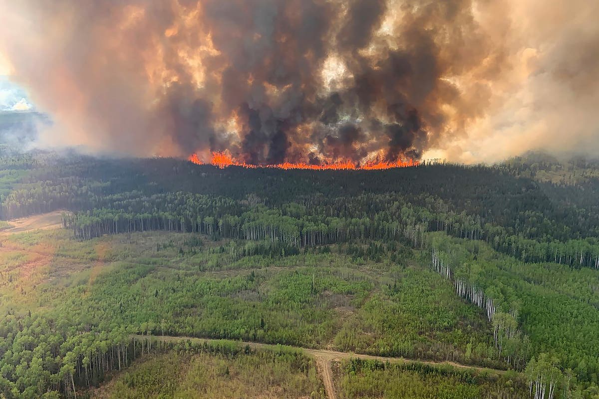 Fires in Canada;  Nova Scotia urges people to stay away from forests