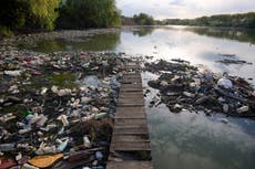 La Tierra se encuentra en peligro en casi todos los aspectos ecológicos, advierte estudio