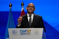 Jefe de clima ONU: abandonar combustibles fósiles es clave, pero podría no abordarse en COP28