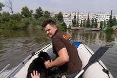 Voluntarios rescatan animales tras ruptura de presa en Ucrania