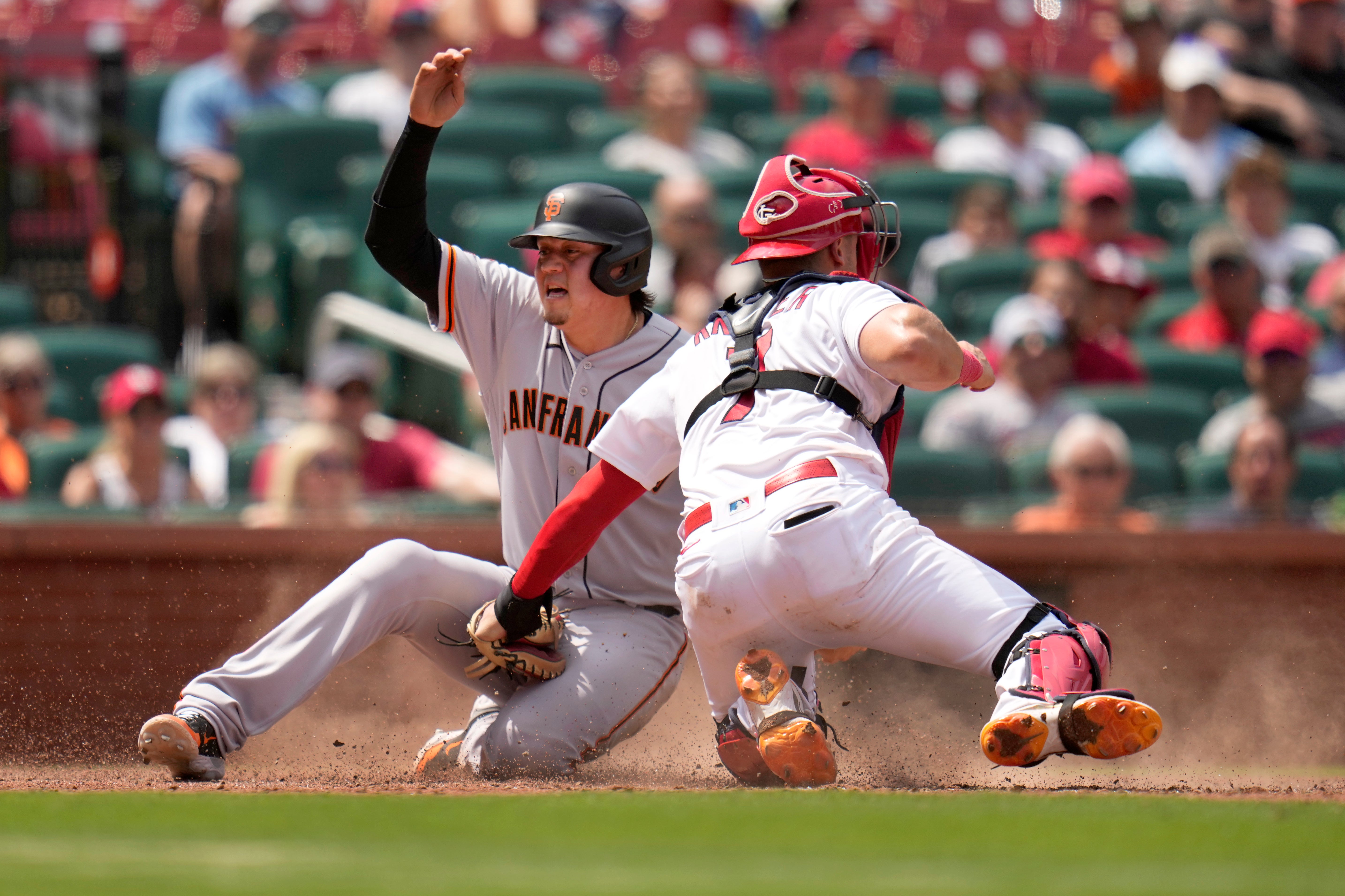 GIGANTES-CARDENALES