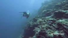 Enorme océano descubierto debajo de la corteza terrestre