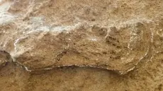 Un estudio de la huella más antigua jamás encontrada podría cambiar toda la historia de la humanidad