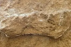 Un estudio de la huella más antigua jamás encontrada podría cambiar toda la historia de la humanidad