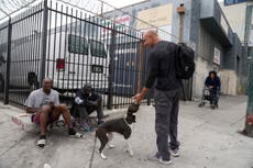 Un tercio de los estadounidenses sin hogar vive en California. Un veterinario cuida sus mascotas