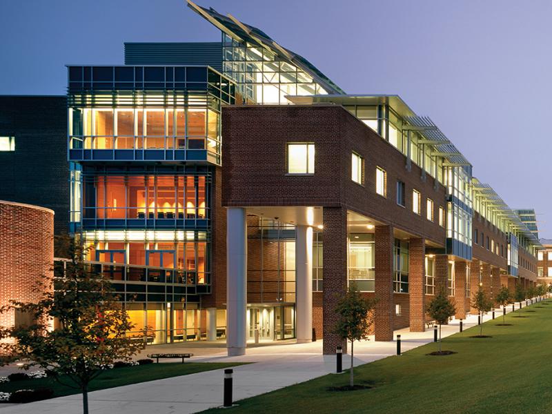 Conserje apaga el congelador de un laboratorio por un “pitido molesto”, destruyendo décadas de investigación