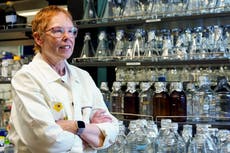 El siguiente gran avance en el tratamiento del cáncer podría ser una vacuna