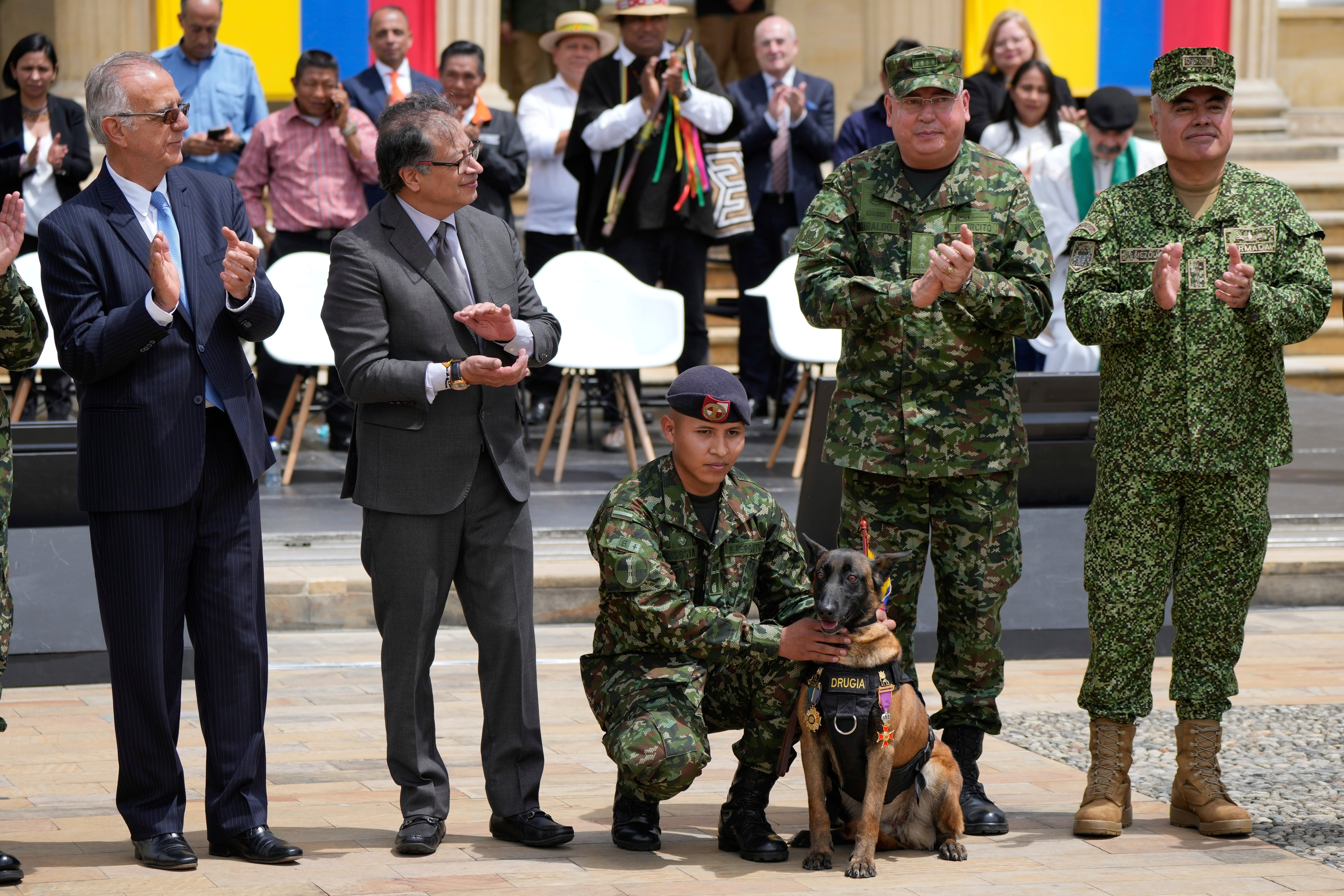 COLOMBIA-PERRO HEROICO PERDIDO