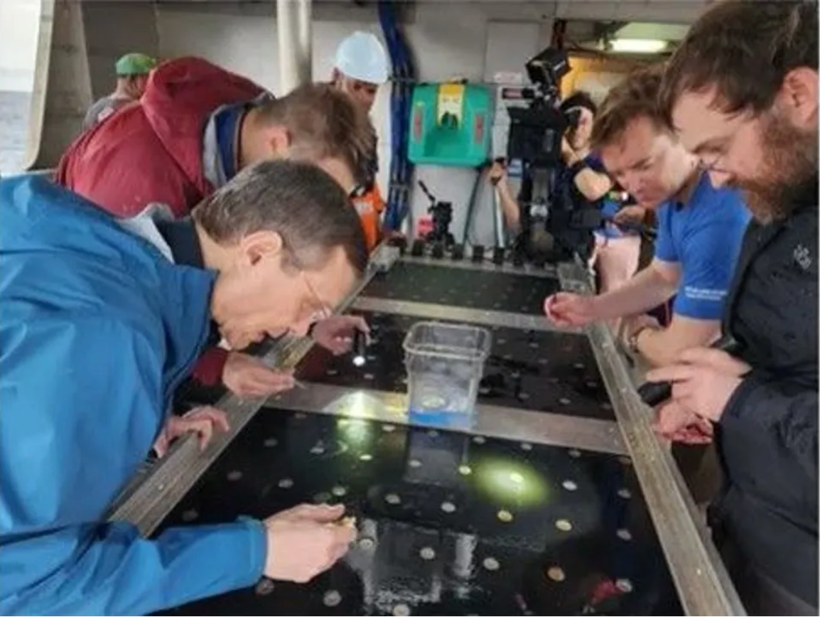 Loeb y el equipo de investigación del Silver Star examinan ‘esférulas’ que se recuperaron del fondo del océano Pacífico