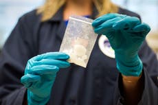 Fiscalía mexicana advierte sobre mensaje falso de dulce contaminado con fentanilo