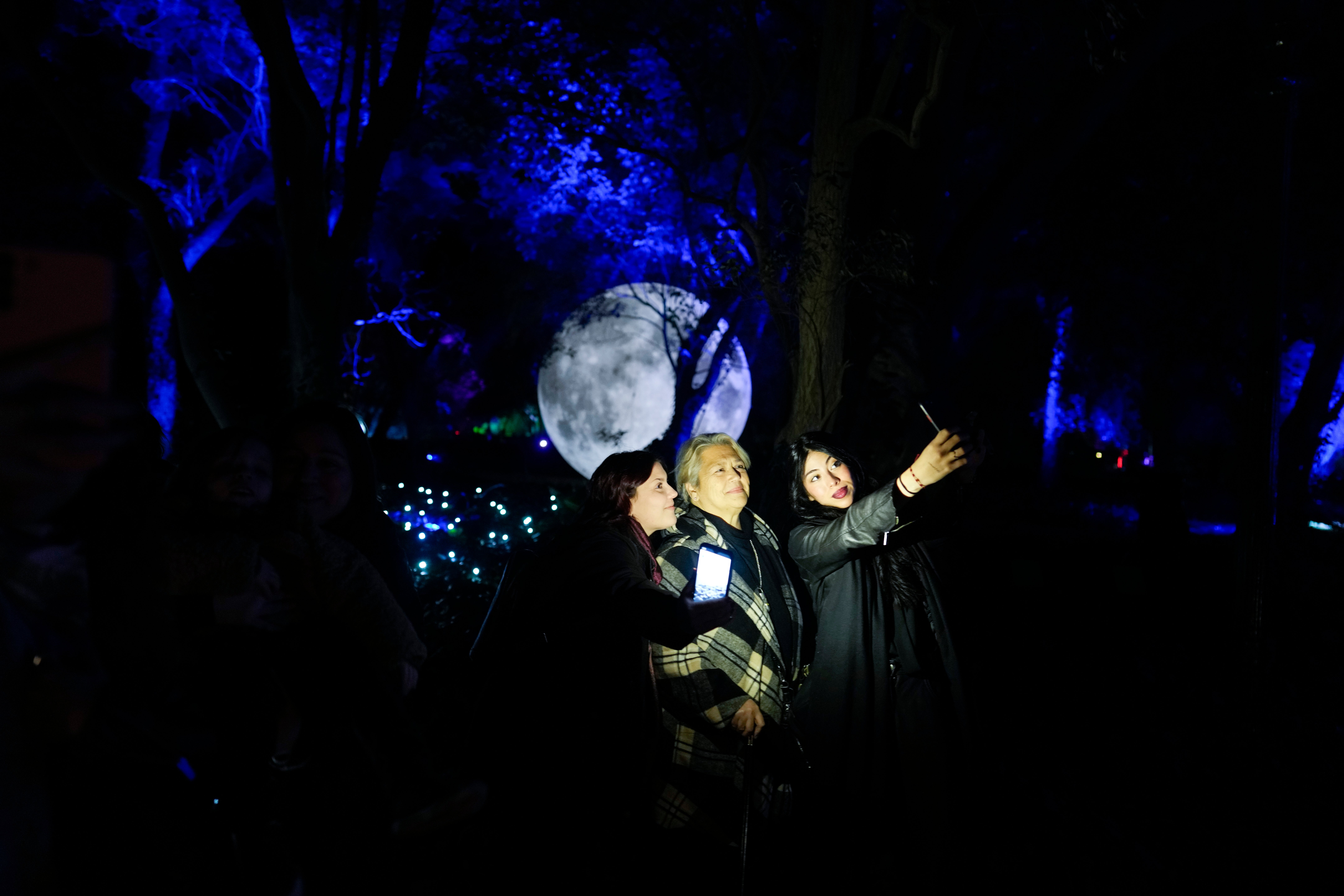 ARGENTINA-JARDÍN SECRETO