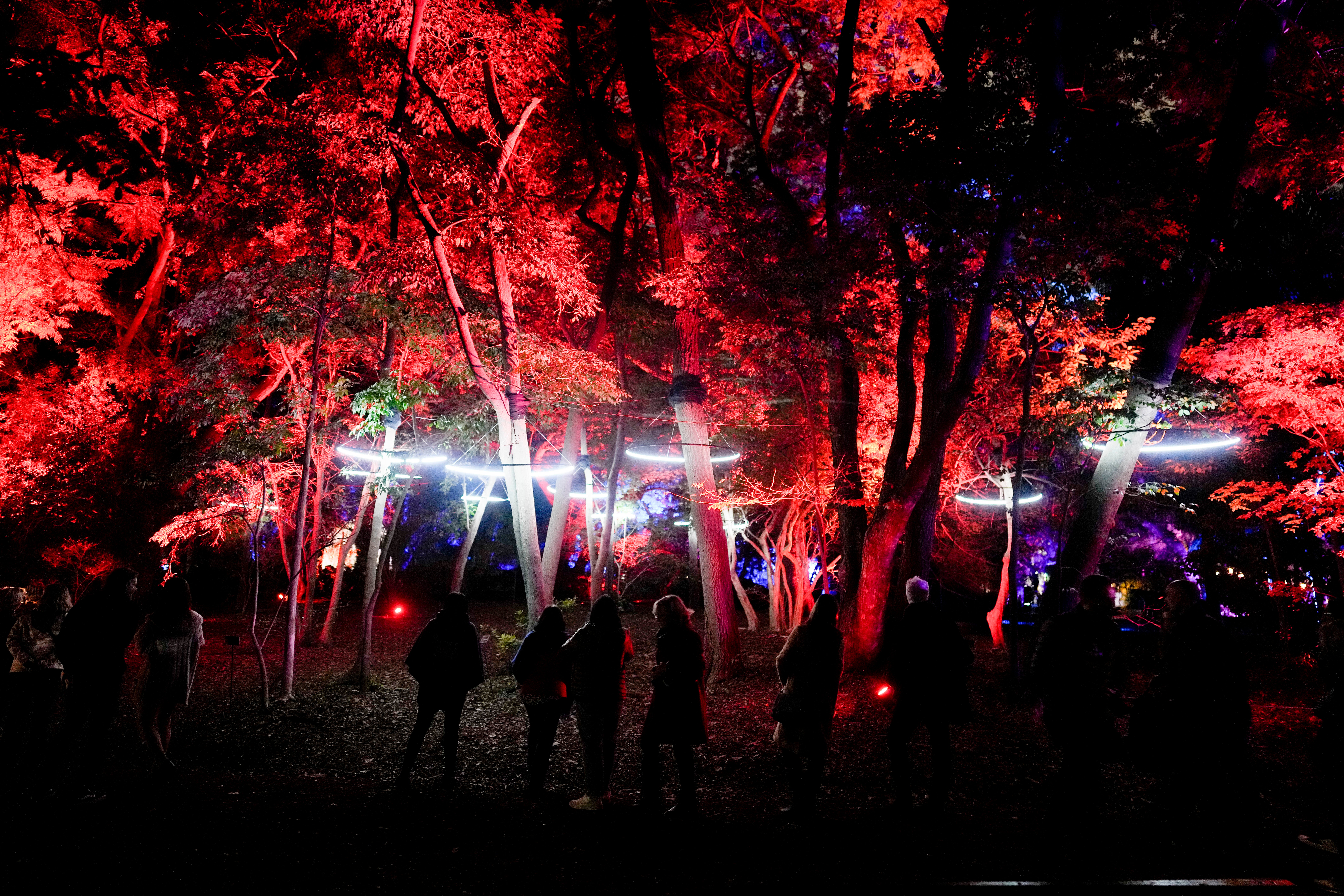 ARGENTINA-JARDÍN SECRETO