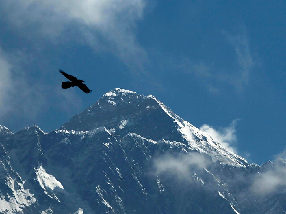 NEPAL-HELIC%C3%93PTERO_ESTRELLADO_67444