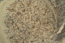 La NASA encuentra “variedad de materia orgánica” en Marte gracias al Rover Perseverance