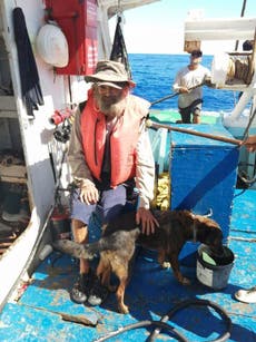 Marinero explica por qué se tuvo que despedir de la perrita Bella con la que naufragó en el Pacífico