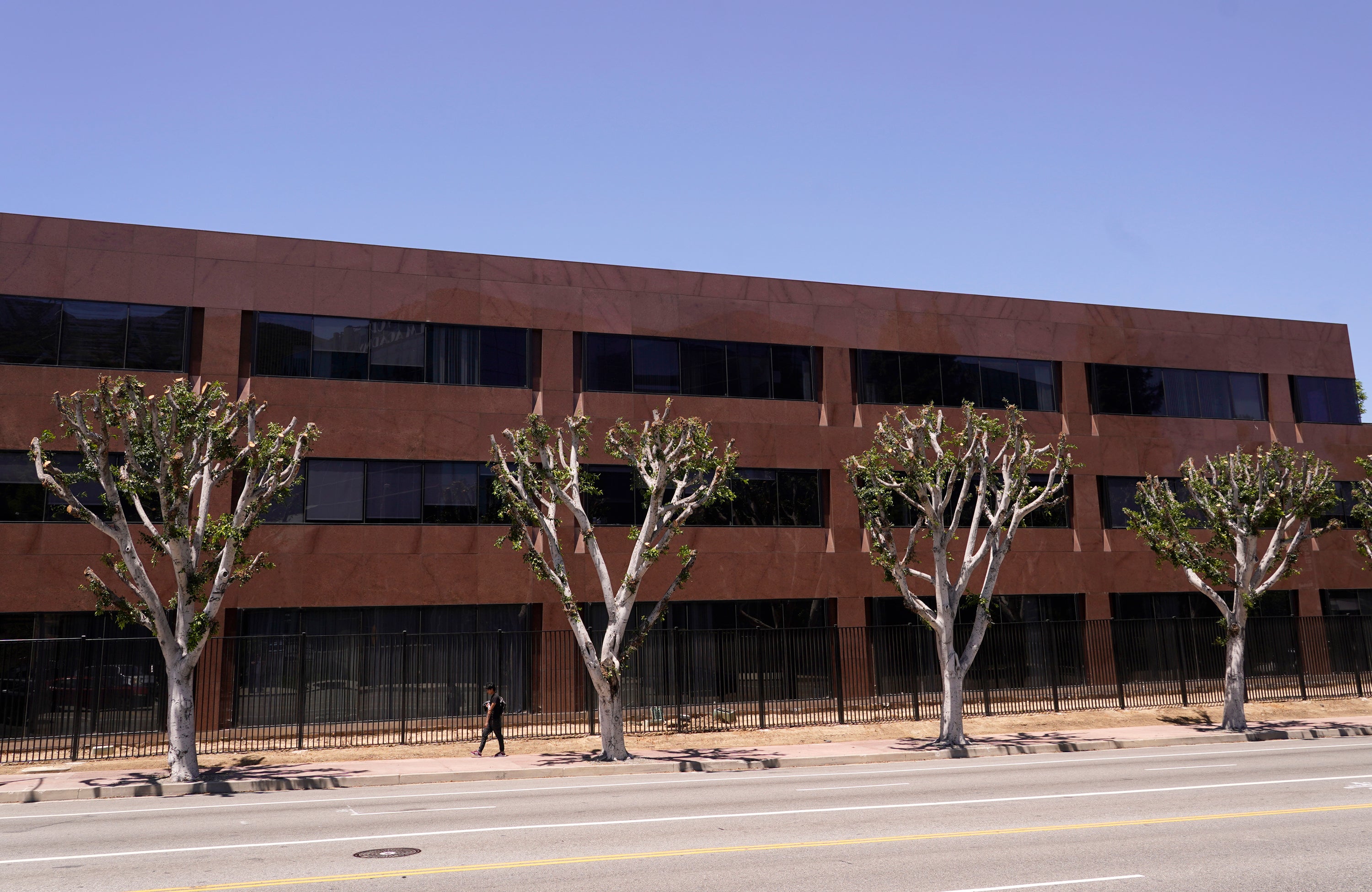 HOLLYWOOD-HUELGAS-ÁRBOLES