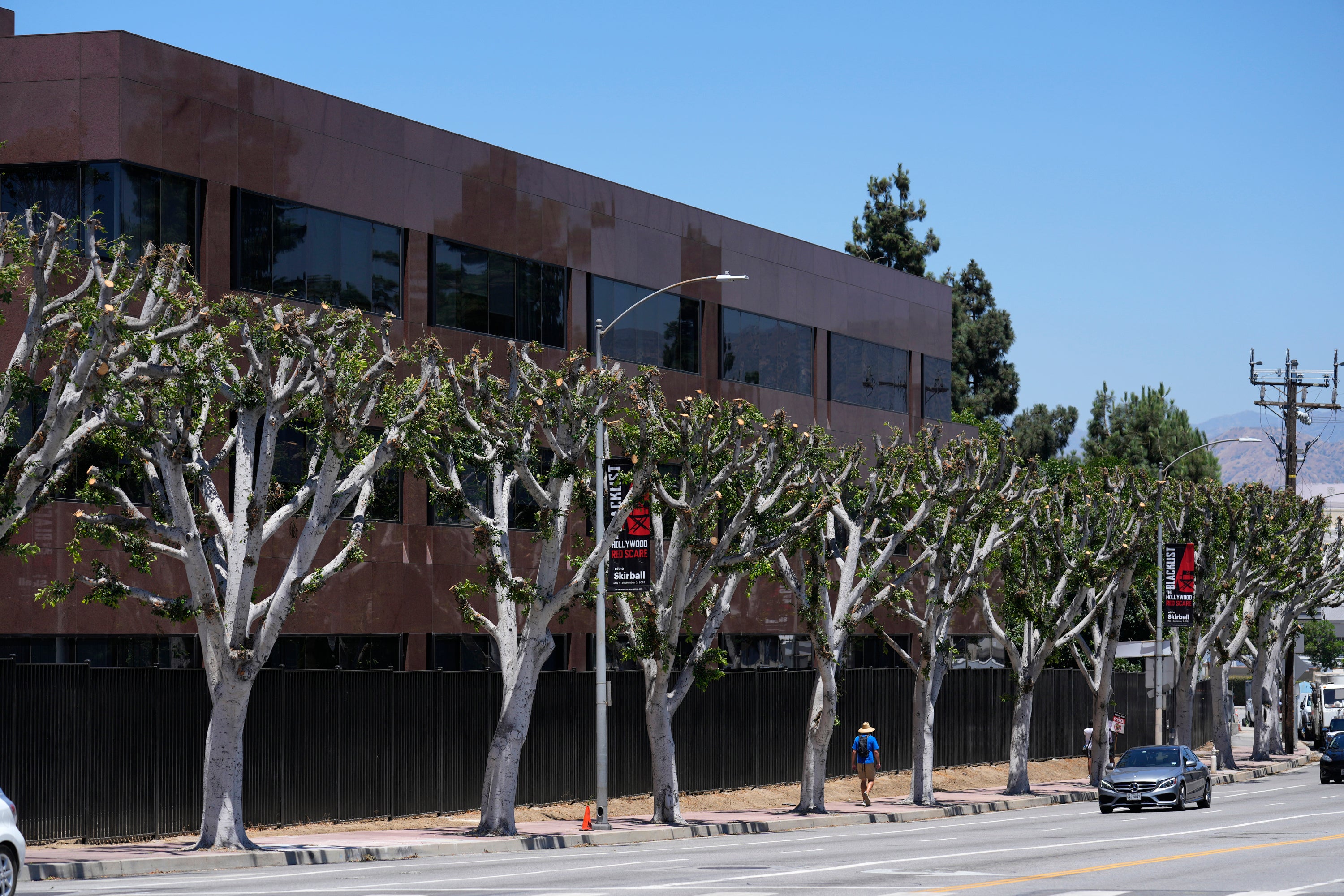 HOLLYWOOD-HUELGAS-ÁRBOLES