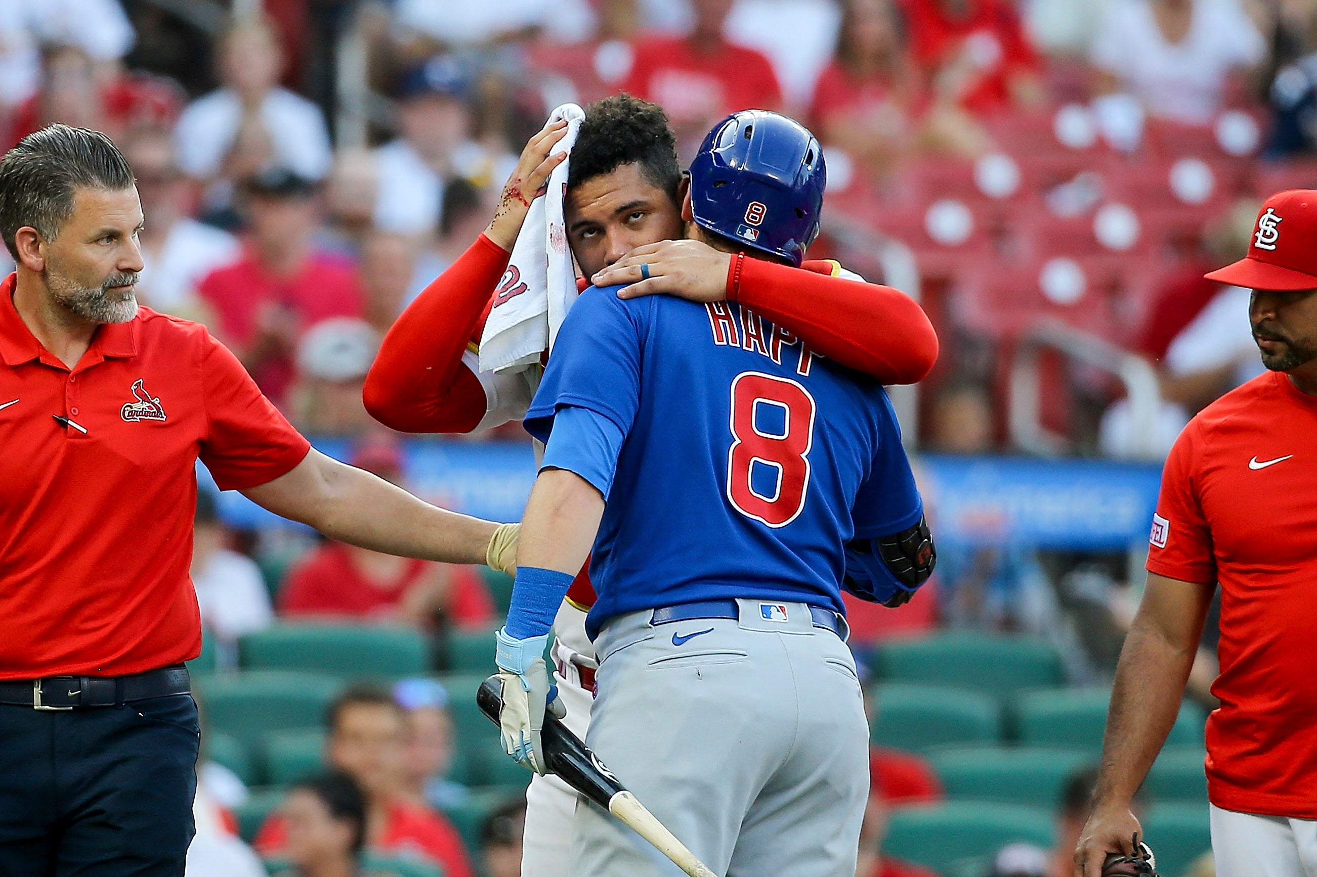 CACHORROS-CARDENALES