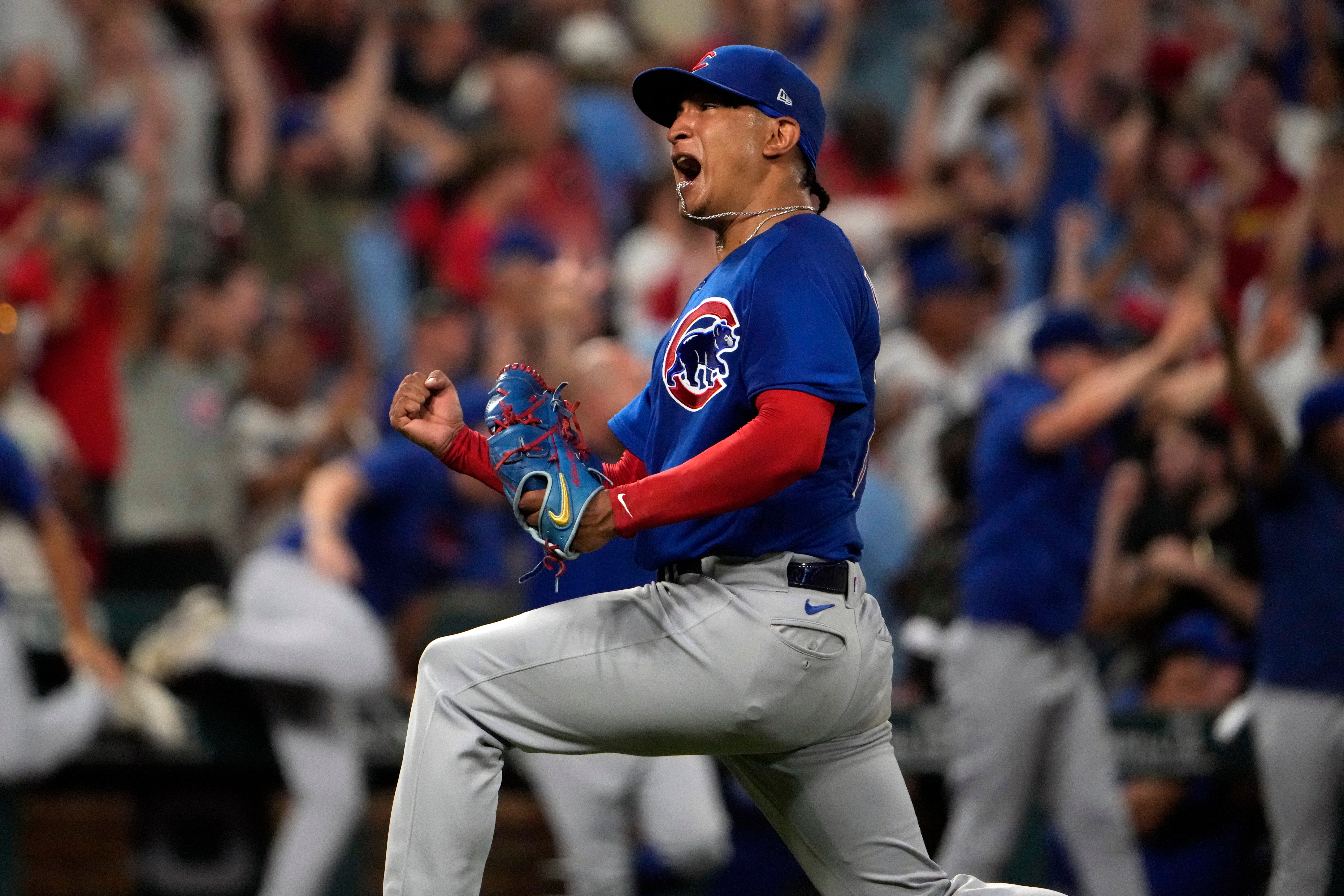 CACHORROS-CARDENALES