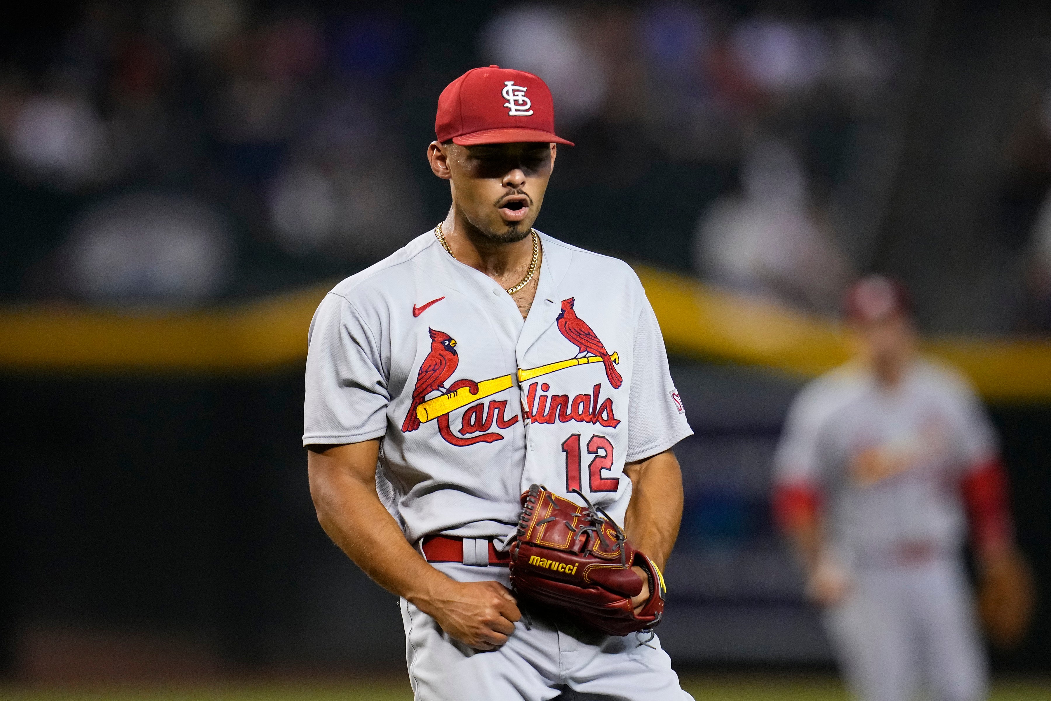 CARDENALES-AZULEJOS-CANJE