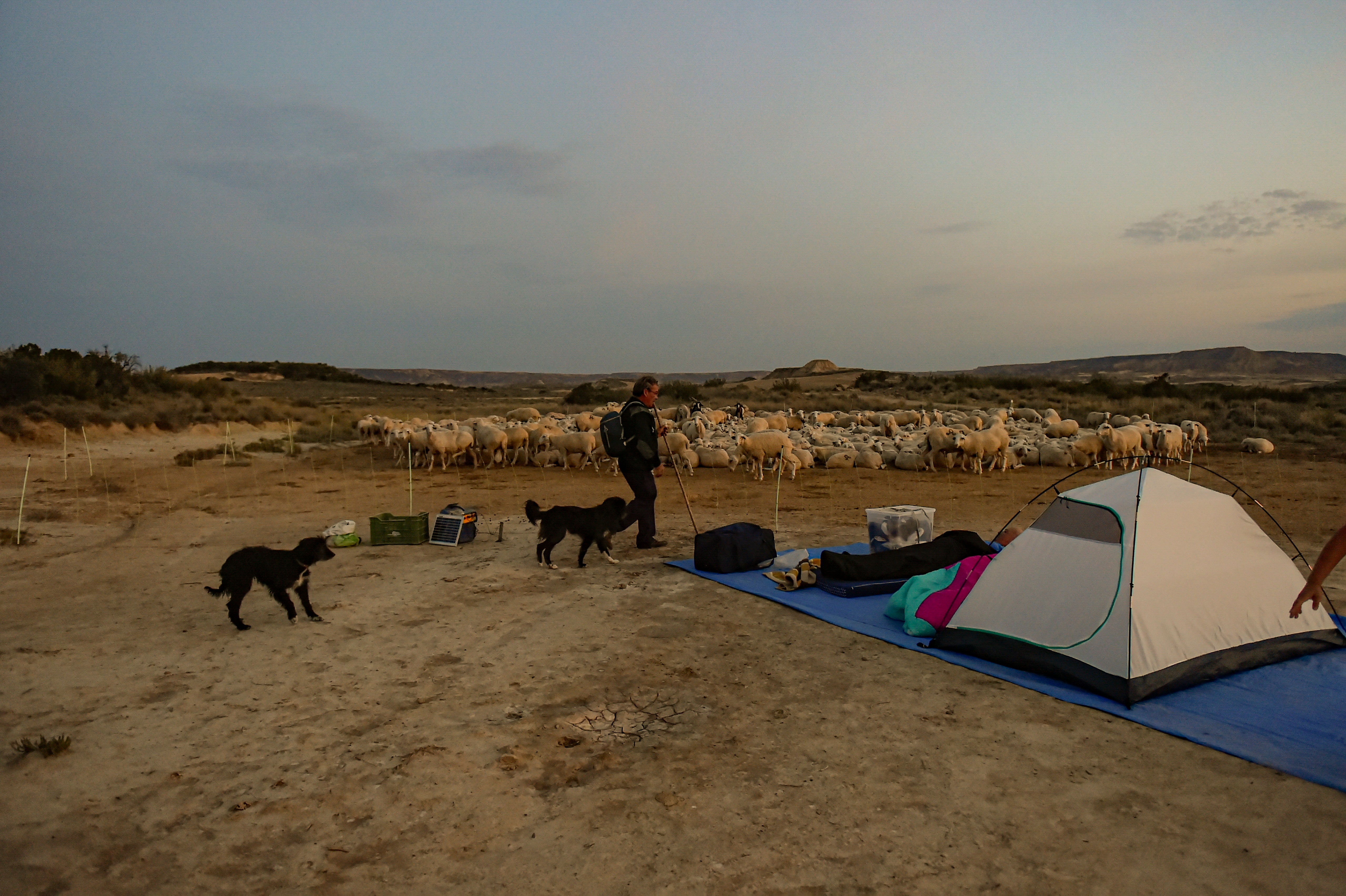 ESPAÑA-TRASHUMANCIA FOTOGALERÍA