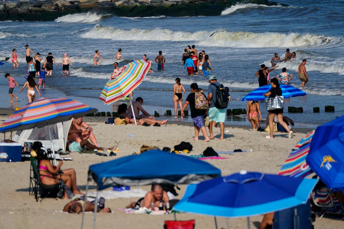 Rokcaway Beach Tiburón muerde a una mujer en una playa de Nueva York