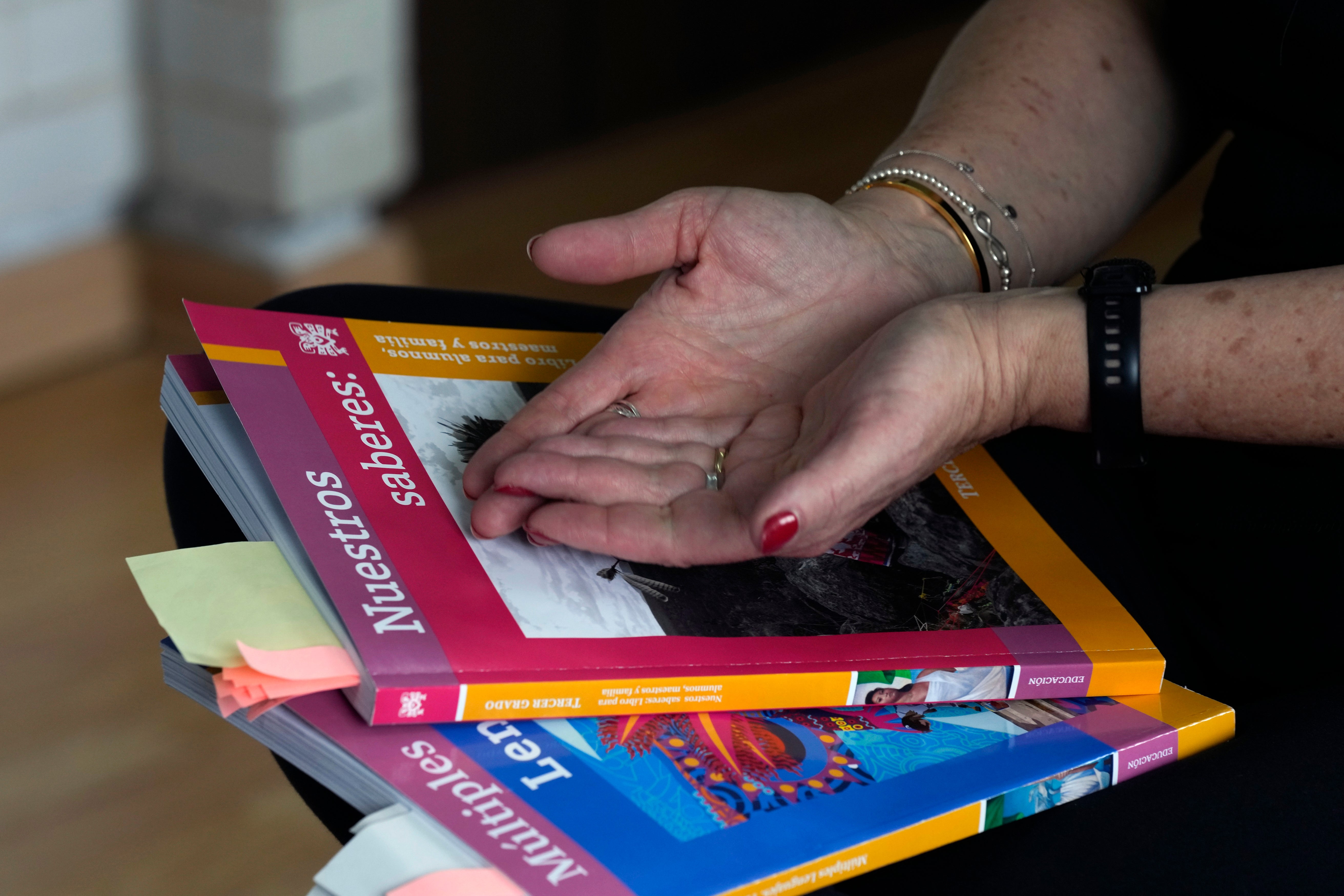 MÉXICO-LIBROS ESCOLARES