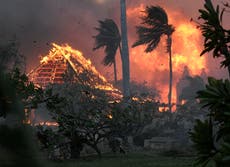 Mapa de incendios forestales de Maui: ¿dónde se localizan los voraces incendios de Hawái?