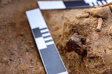 ‘Niño vampiro’ del siglo XVII con candado en el tobillo es desenterrado en ‘necrópolis’ polaca